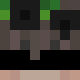 avatar L1sts skin