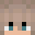 natriumacetat Minecraft head