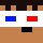 WinterHoly Minecraft head
