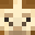 Speed_Llama