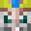 Minecraft players skin