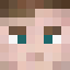 Minecraft players skin