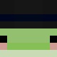 avatar peguin09 skin