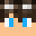 Vliegenier04 Minecraft head