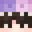 SheddSky