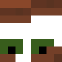 V0rtesv1n Minecraft-head