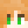 R_Seagull Minecraft head
