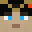Minecraft head of strichtnine