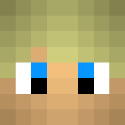The shop owners Minecraft face