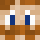 BioBauerJoergel Minecraft head