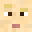 Skin van putin