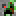 Minecraft avatar for Strider_DragonYT