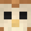 Drakskov Minecraft-head