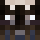 Terminc Minecraft head
