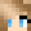 Minecraft players skin