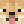 dogetheshiba01