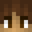 dolphim head
