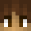 dolphim head