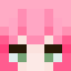 Minecraft players skin