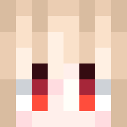 The shop owners Minecraft face