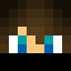 Minecraft players skin