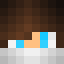 Minecraft players skin