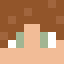Minecraft players skin