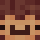 hiddeeee Minecraft head