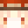 penguin_jim Minecraft head