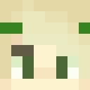 agileDreamer