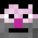 z2kisonekkk