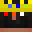ReiPKC