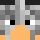 VargasNETIX Minecraft head