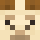 pengubear Minecraft head