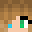 Minecraft players skin
