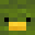Turtle9