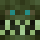 Xortin Minecraft head