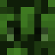 avatar wwwwwwwwwwwwvv skin