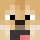Noahdogpanda Minecraft head