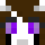 Minecraft players skin