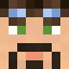 Minecraft players skin