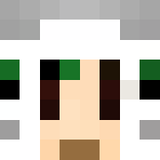 Minecraft profile picture for @Heroic