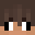evidock
