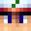 Minecraft players skin
