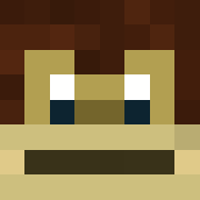 Minecraft profile picture for @Sanitation