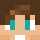 Justvoiding Minecraft head