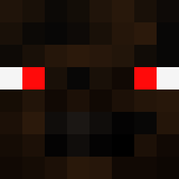 The shop owners Minecraft face