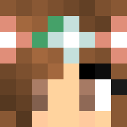 The shop owners Minecraft face