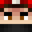 Minecraft players skin