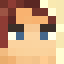 Minecraft players skin